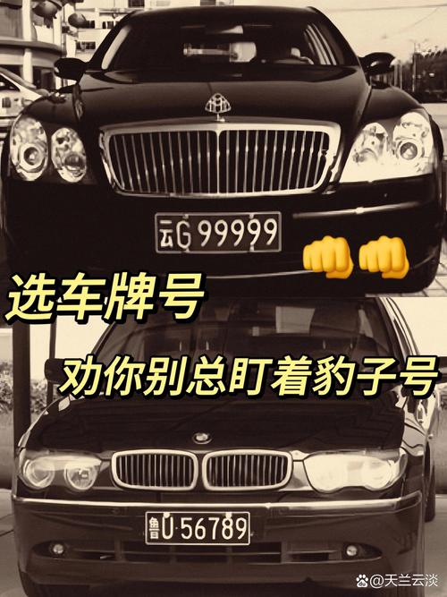 商丘车牌豹子购买渠道，车牌号怎么买靓号